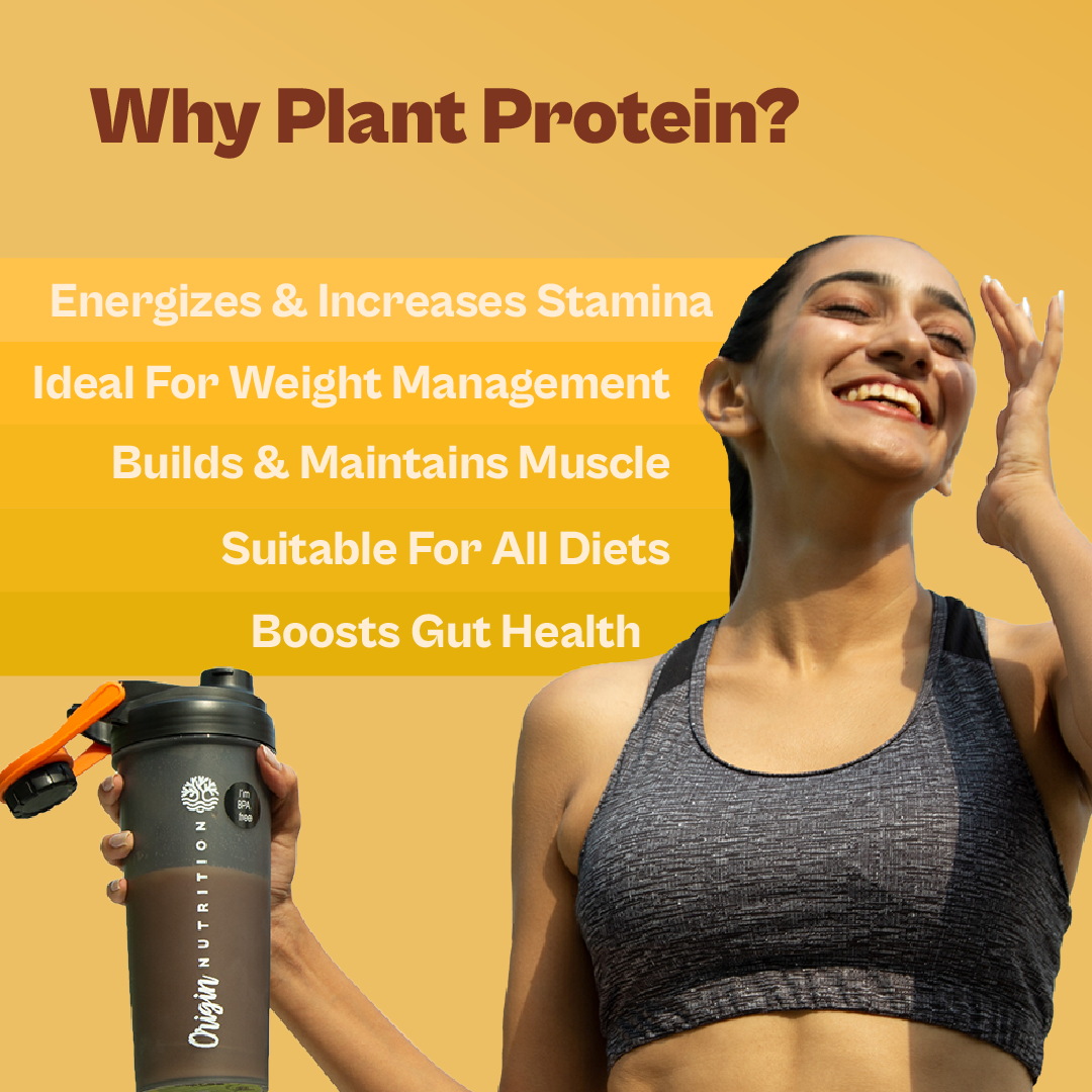 Daily Plant Protein - Mango Mania Starter Pack