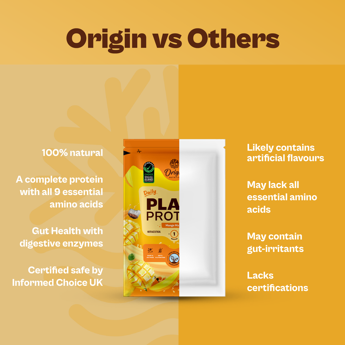 Daily Plant Protein - Mango Mania Starter Pack