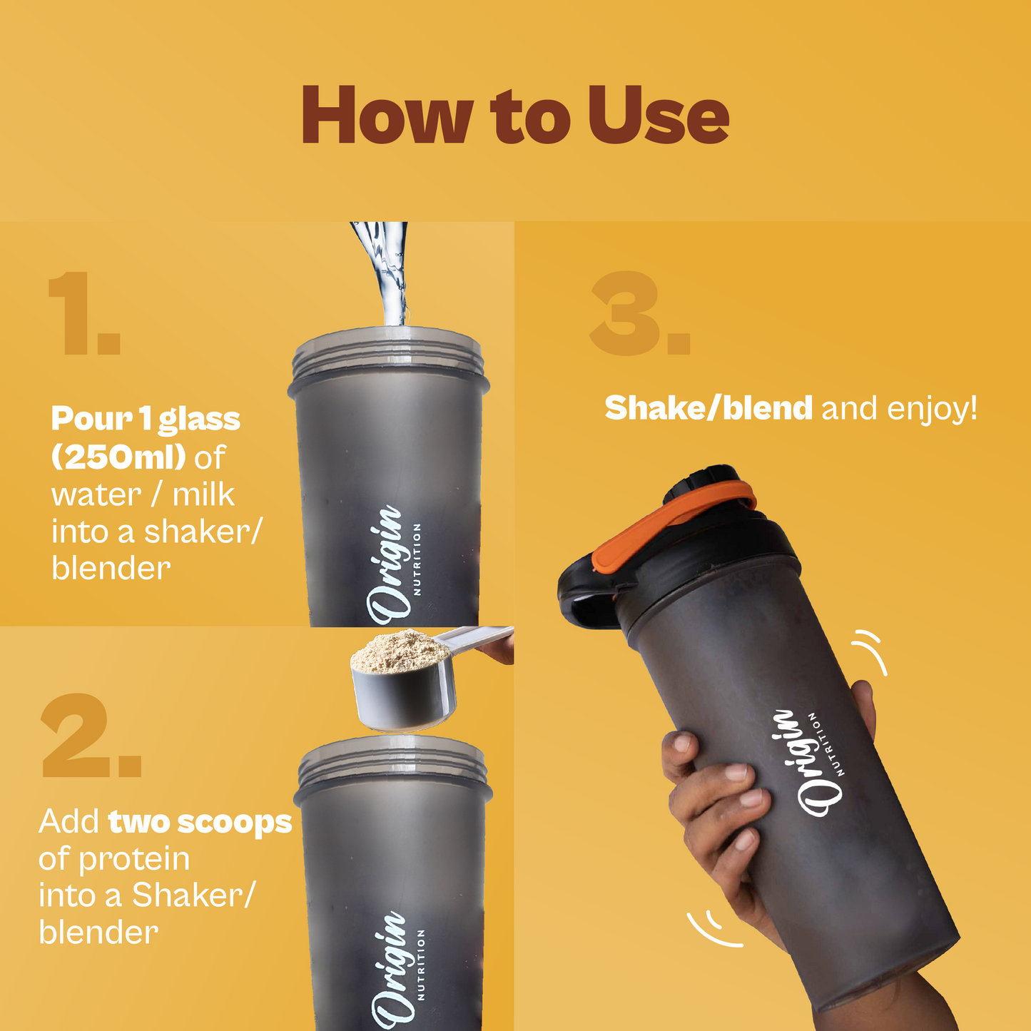 Daily Plant Protein - Mango Mania Starter Pack