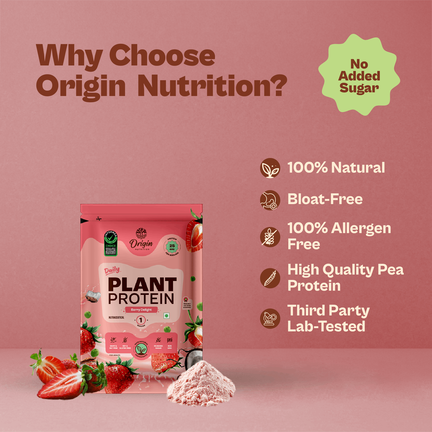 Daily Plant Protein - Strawberry Delight Starter Pack