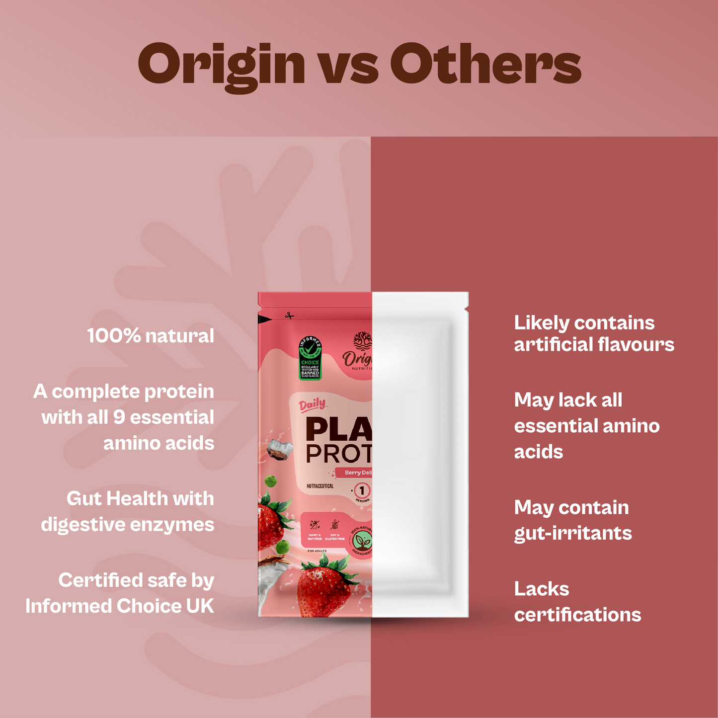 Daily Plant Protein - Strawberry Delight Starter Pack