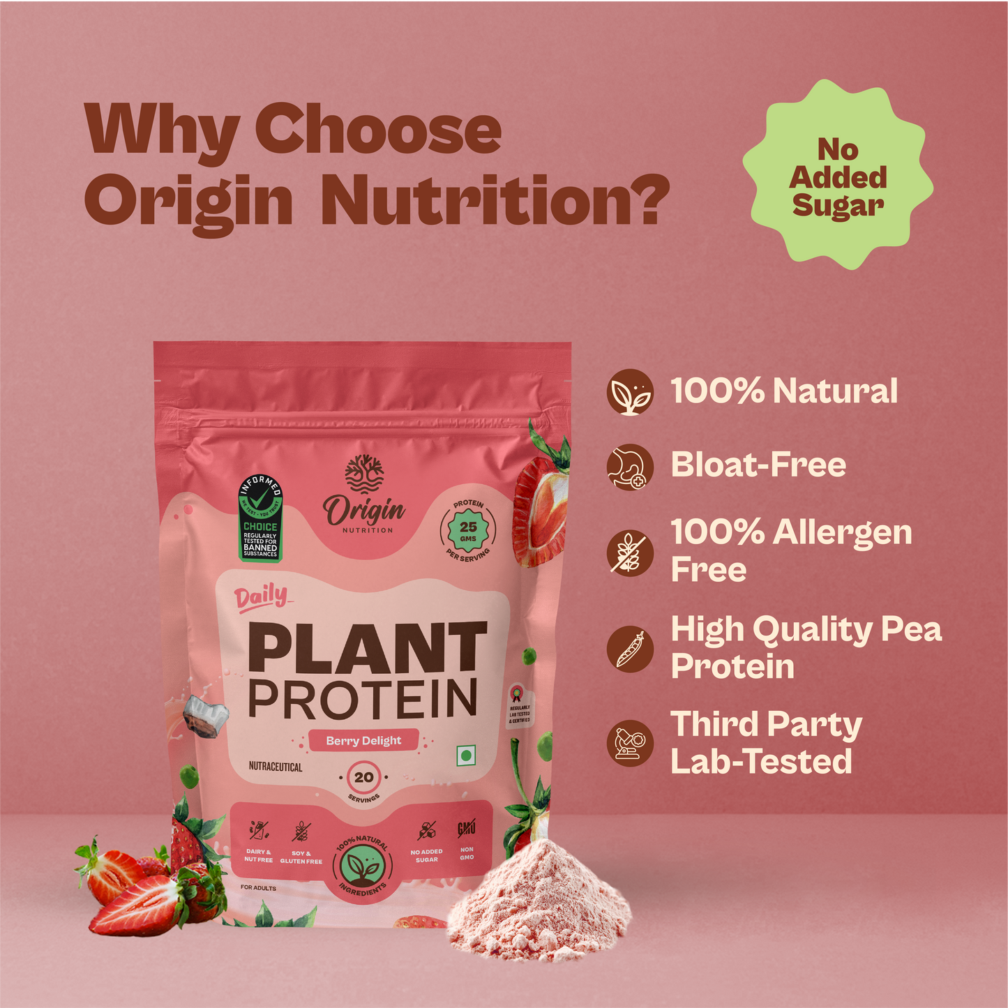 Daily Plant Protein - Strawberry Delight