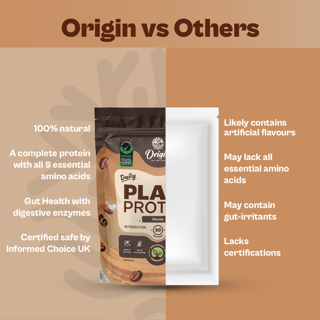 Daily Plant Protein - Mocha