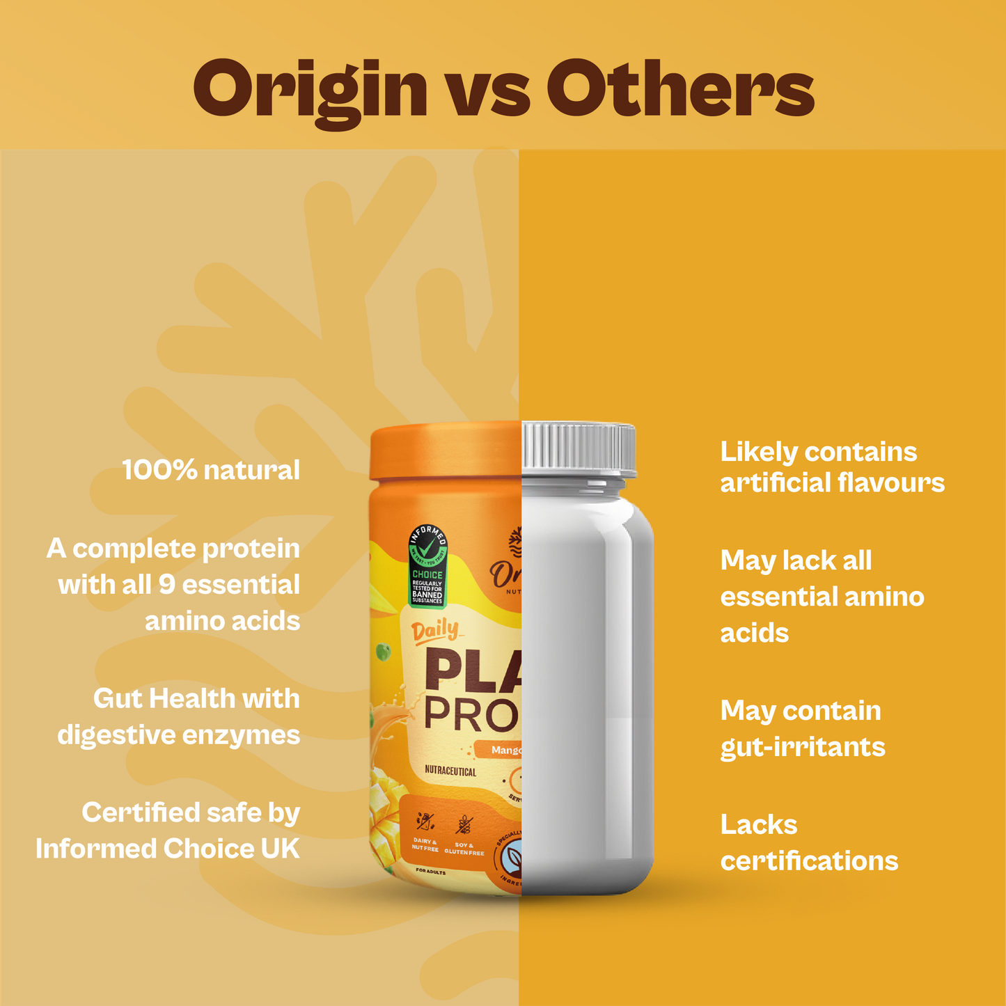 Daily Plant Protein Powder - Mango Mania (Jar)