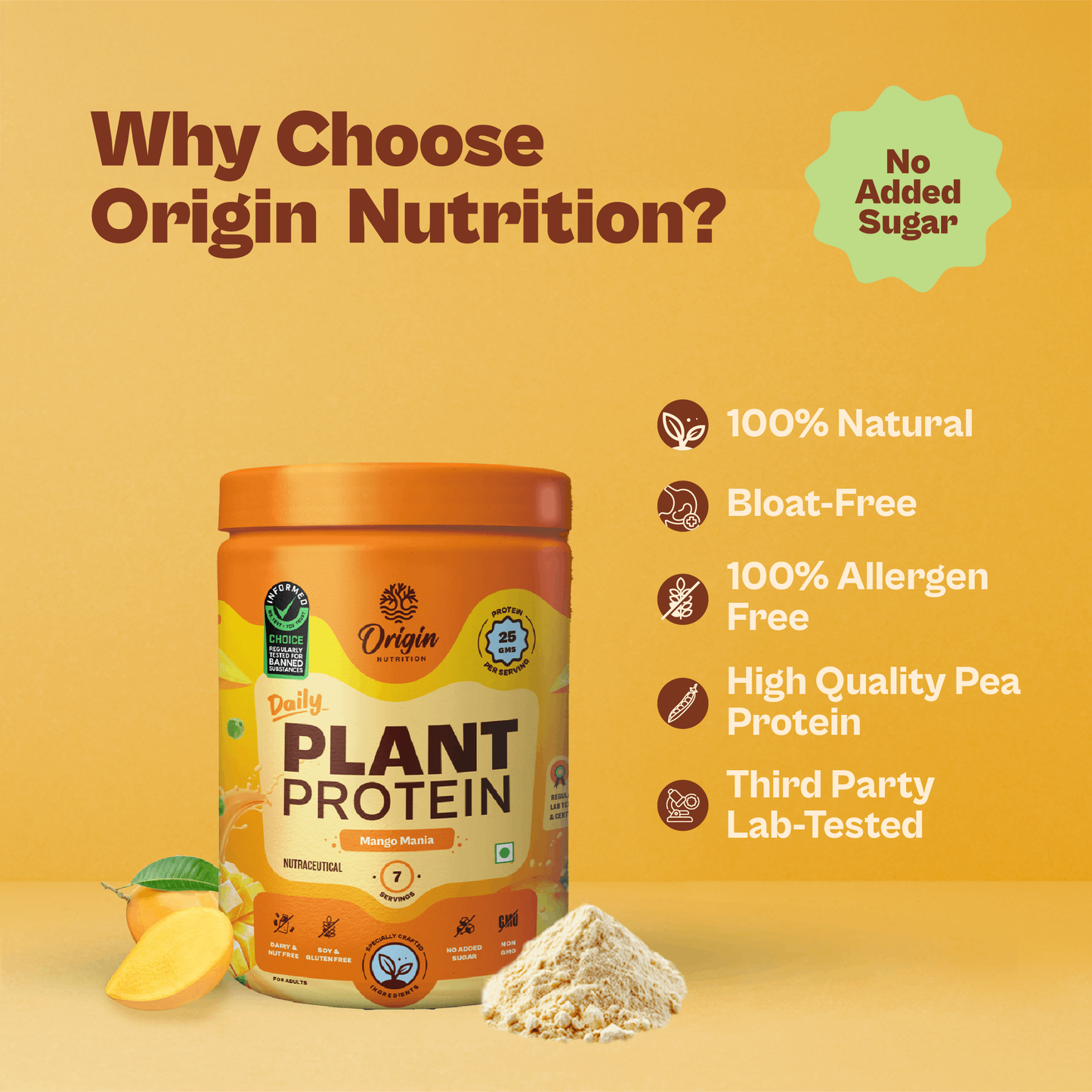 Daily Plant Protein Powder - Mango Mania (Jar)