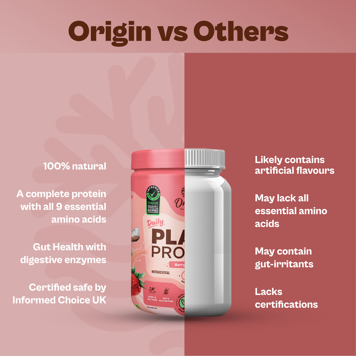 Daily Plant Protein - Strawberry Delight (Jar)