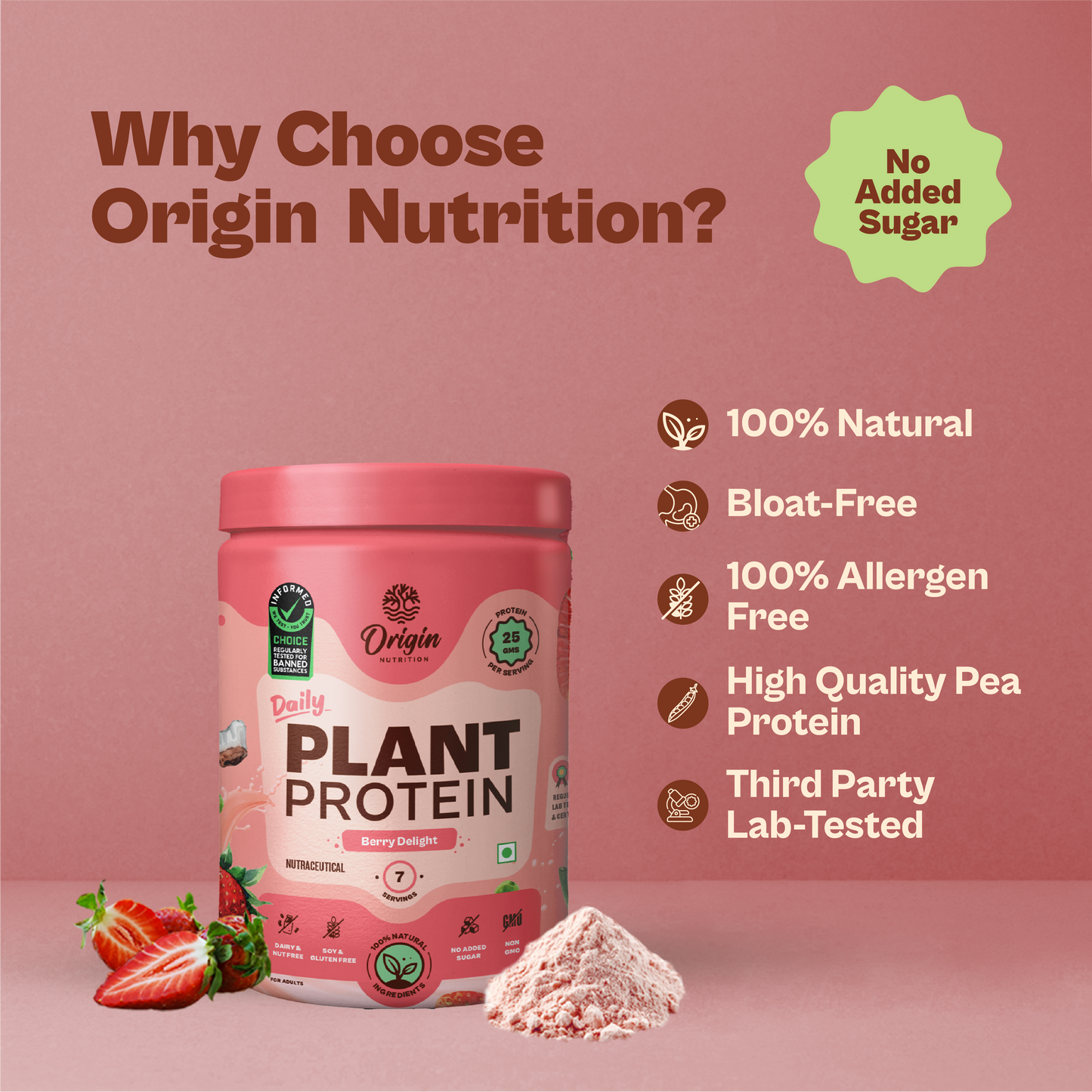Daily Plant Protein - Strawberry Delight (Jar)