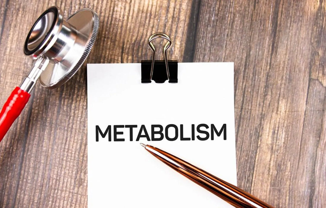 Effective Ways to Boost Metabolism