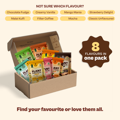 Daily Plant Protein - Assorted Pack of 8