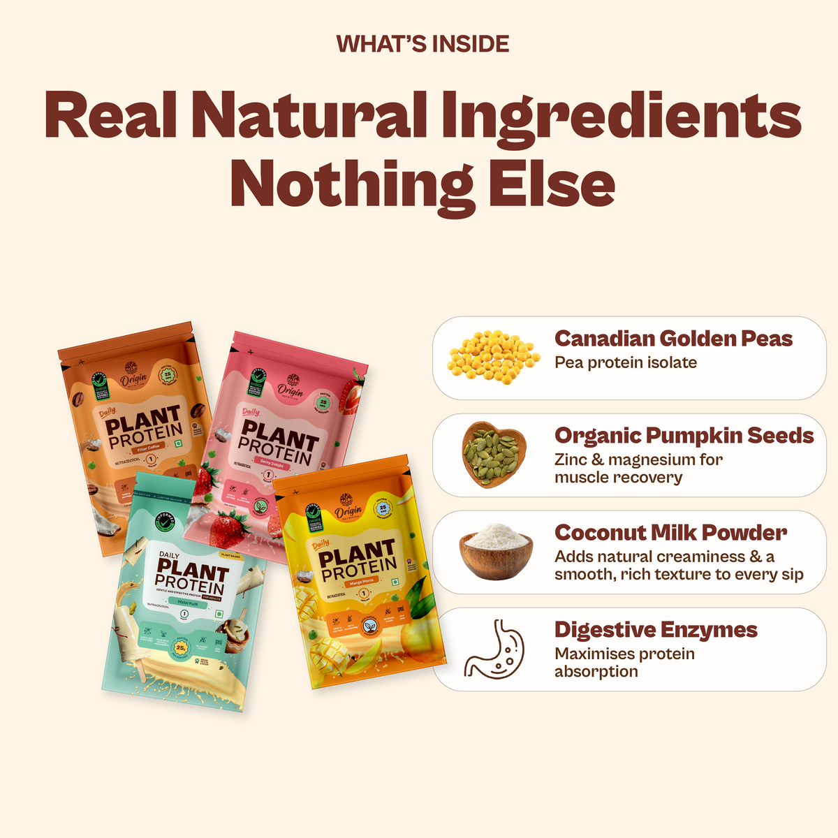 Daily Plant Protein - Assorted Pack of 8