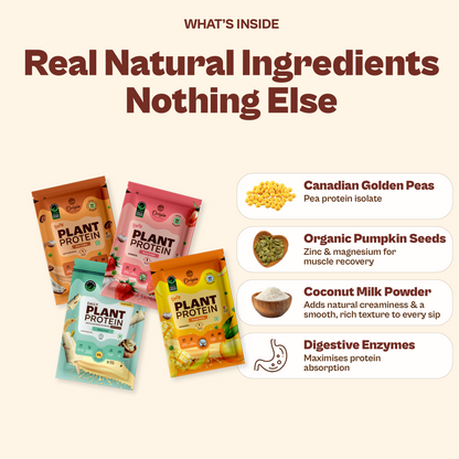 Daily Plant Protein - Assorted Pack of 8