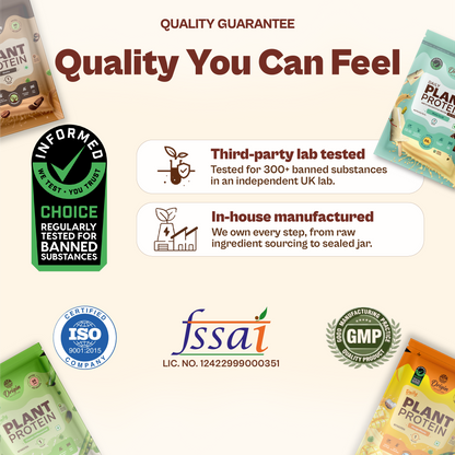 Daily Plant Protein - Assorted Pack of 8