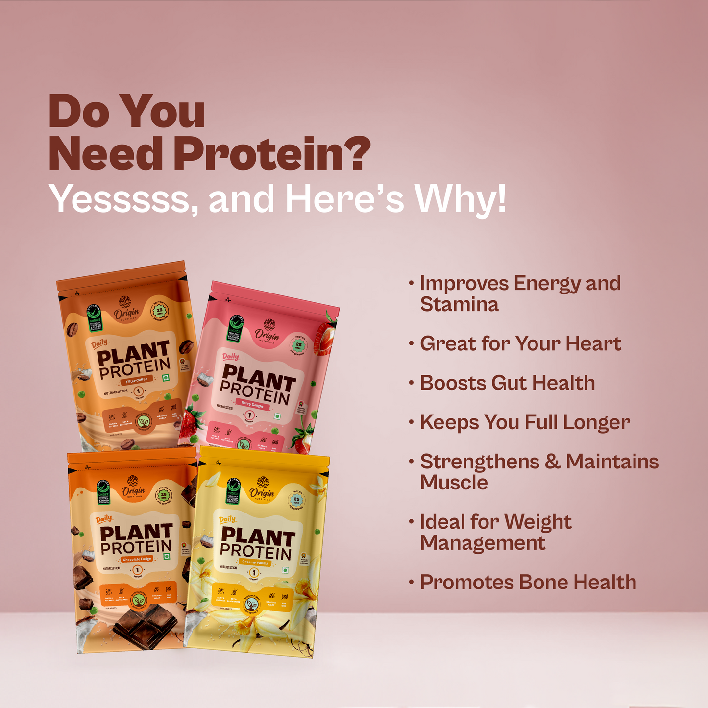 Daily Plant Protein - Assorted Pack