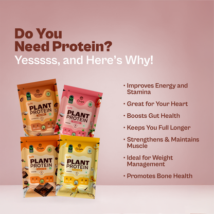 Daily Plant Protein - Assorted Pack
