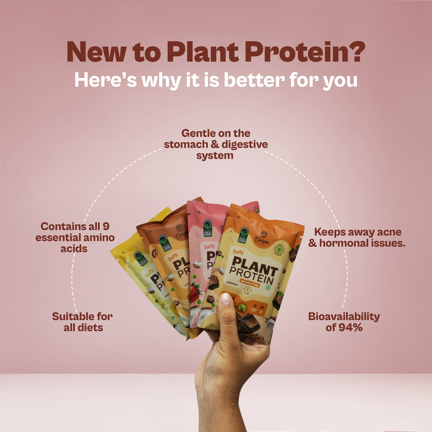 Daily Plant Protein - Assorted Pack