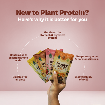 Daily Plant Protein - Assorted Pack