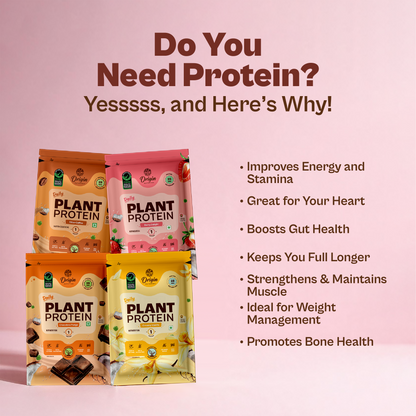 Daily Plant Protein - Assorted Pack of 8