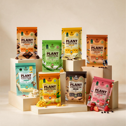 Daily Plant Protein - Assorted Pack of 8