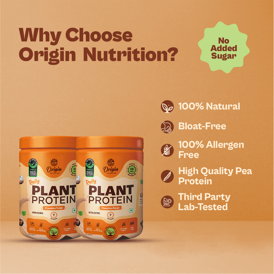 Daily Plant Protein - 14 Day Chocolate Fudge Combo