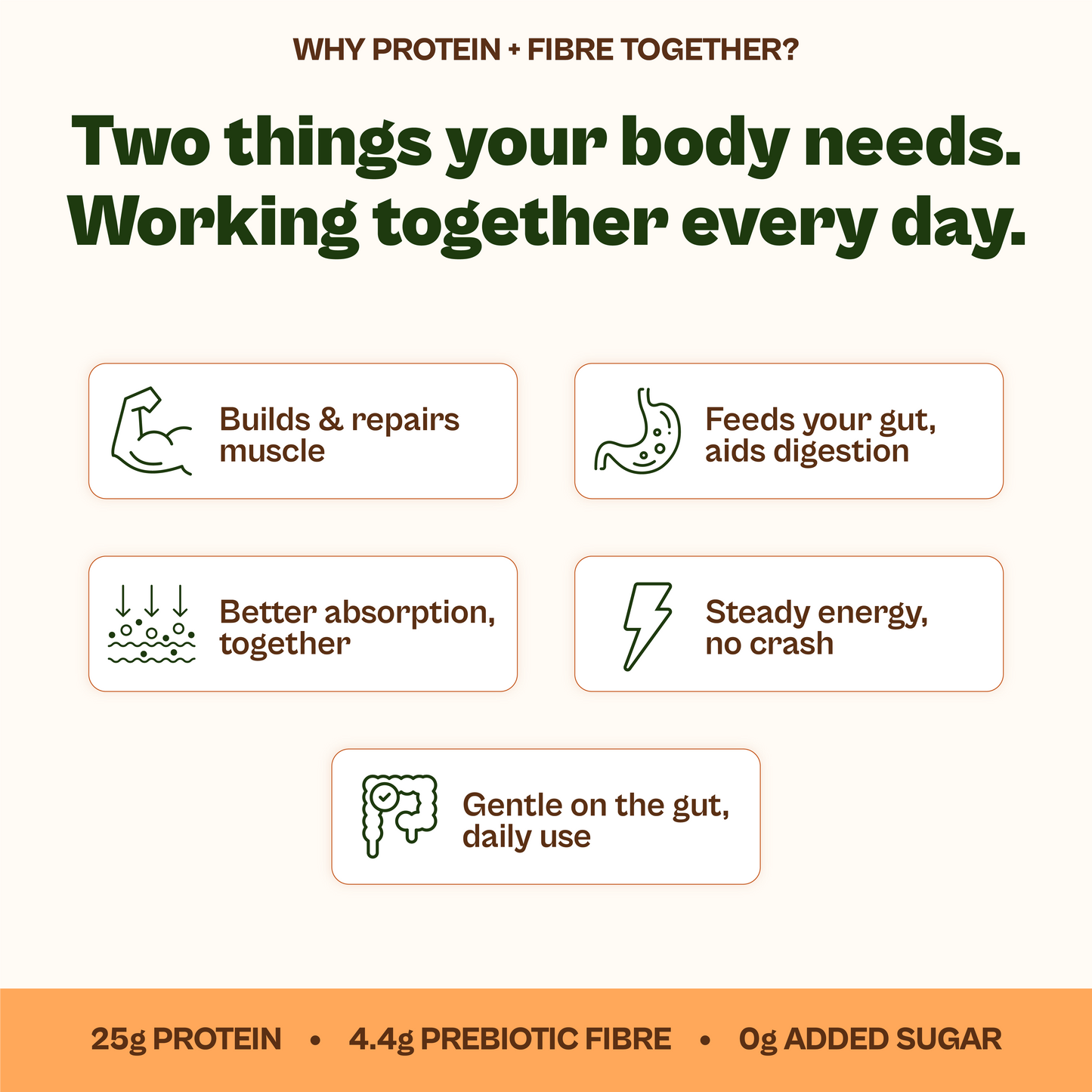 Daily Plant Protein Filter Coffee & Greens+ Fibre Combo