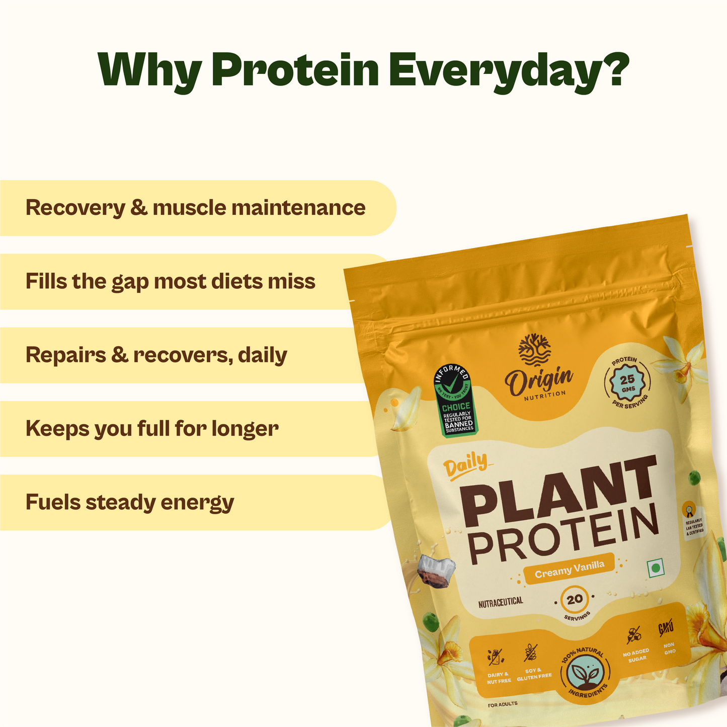 Daily Plant Protein Creamy Vanilla & Fibre + Greens Combo