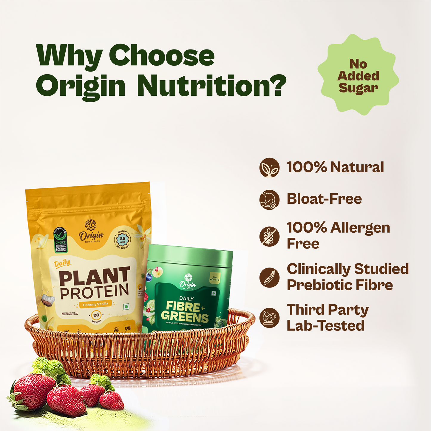 Daily Plant Protein Creamy Vanilla & Fibre + Greens Combo