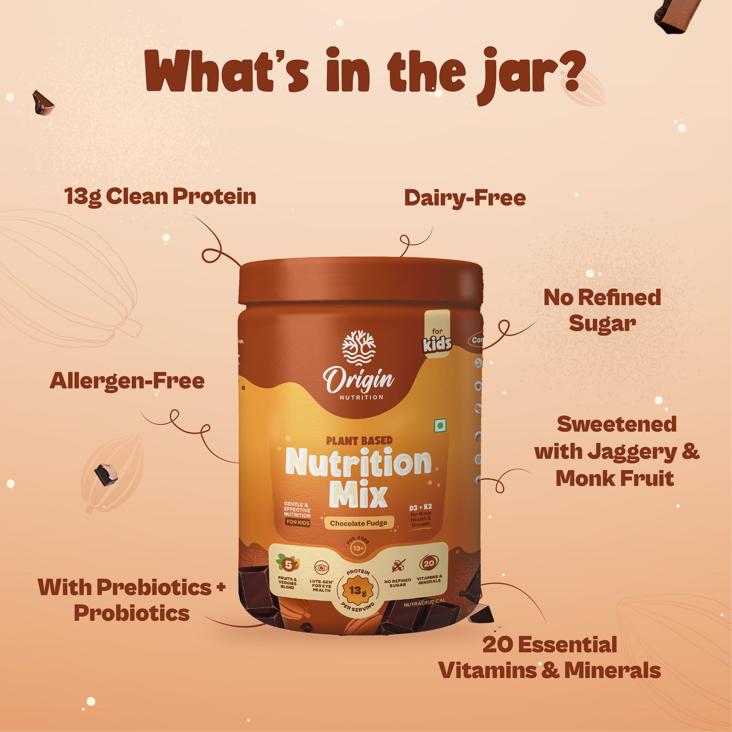 Kids Nutrition Mix - Chocolate Fudge (ages 13+)