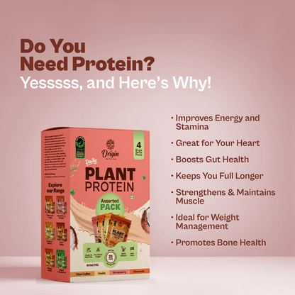 Daily Plant Protein - Assorted Pack