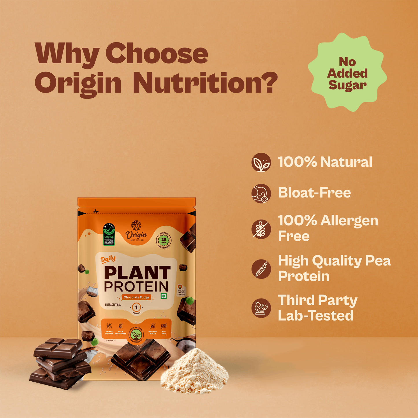Daily Plant Protein - Chocolate Fudge Starter Pack