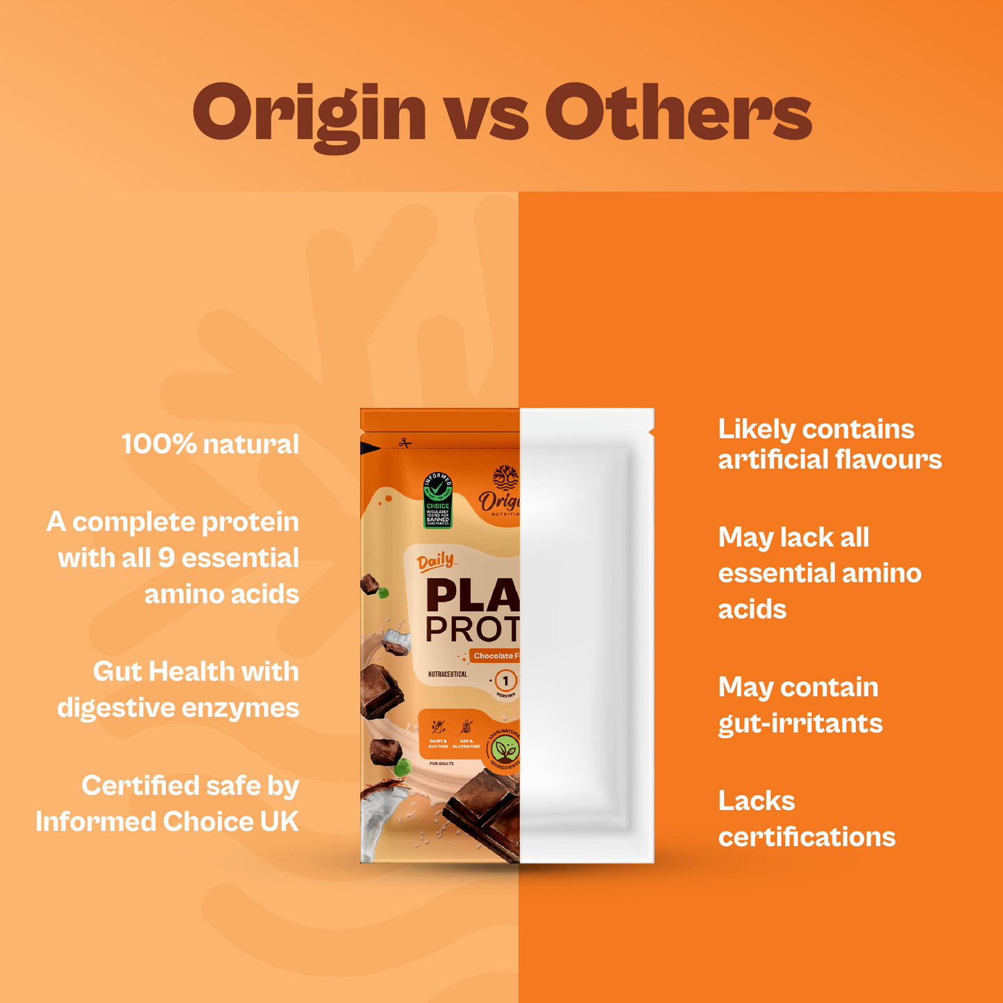 Daily Plant Protein - Chocolate Fudge Starter Pack