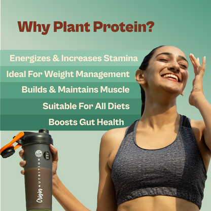 Daily Plant Protein - Malai Kulfi Starter Pack