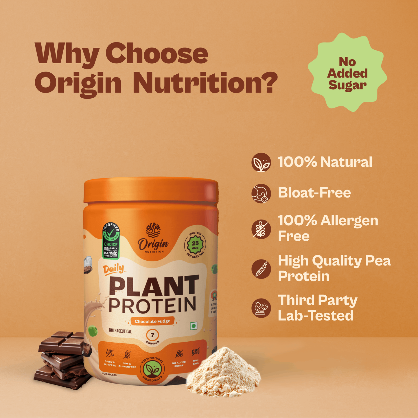 Daily Plant Protein - Chocolate Fudge (Jar)