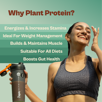 Daily Plant Protein - Malai Kulfi