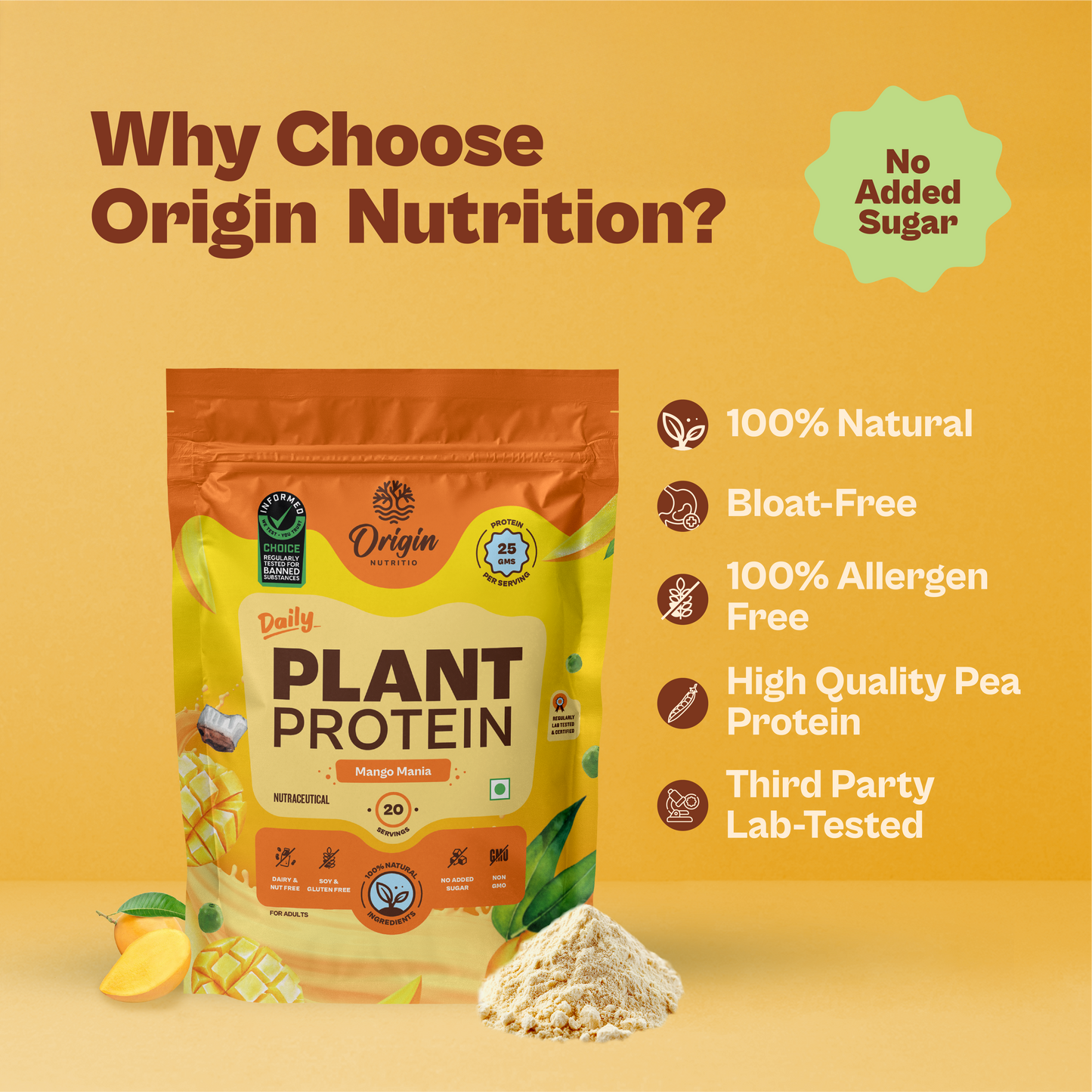 Daily Plant Protein Powder - Mango Mania