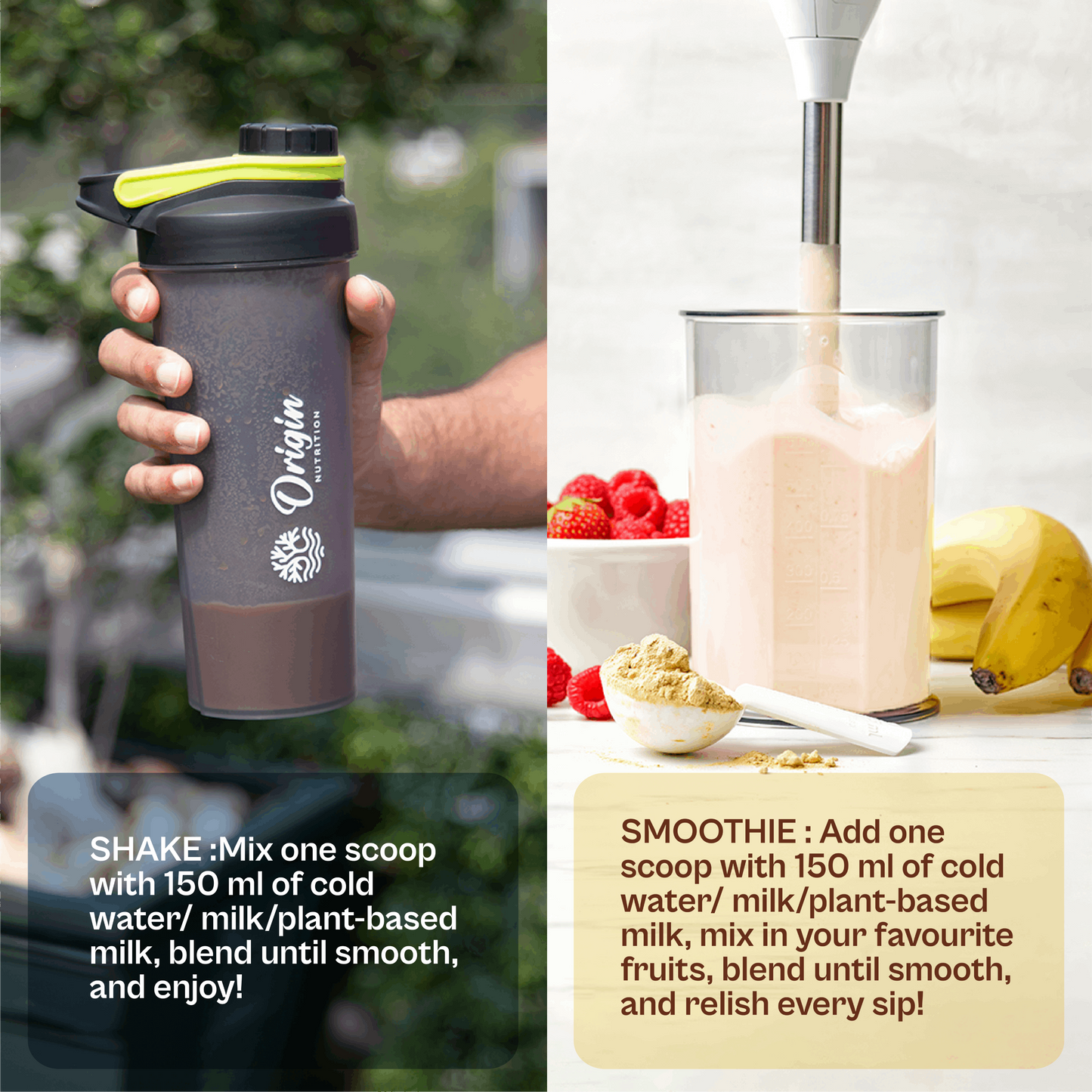 Daily Plant-Based Nutrition for Seniors