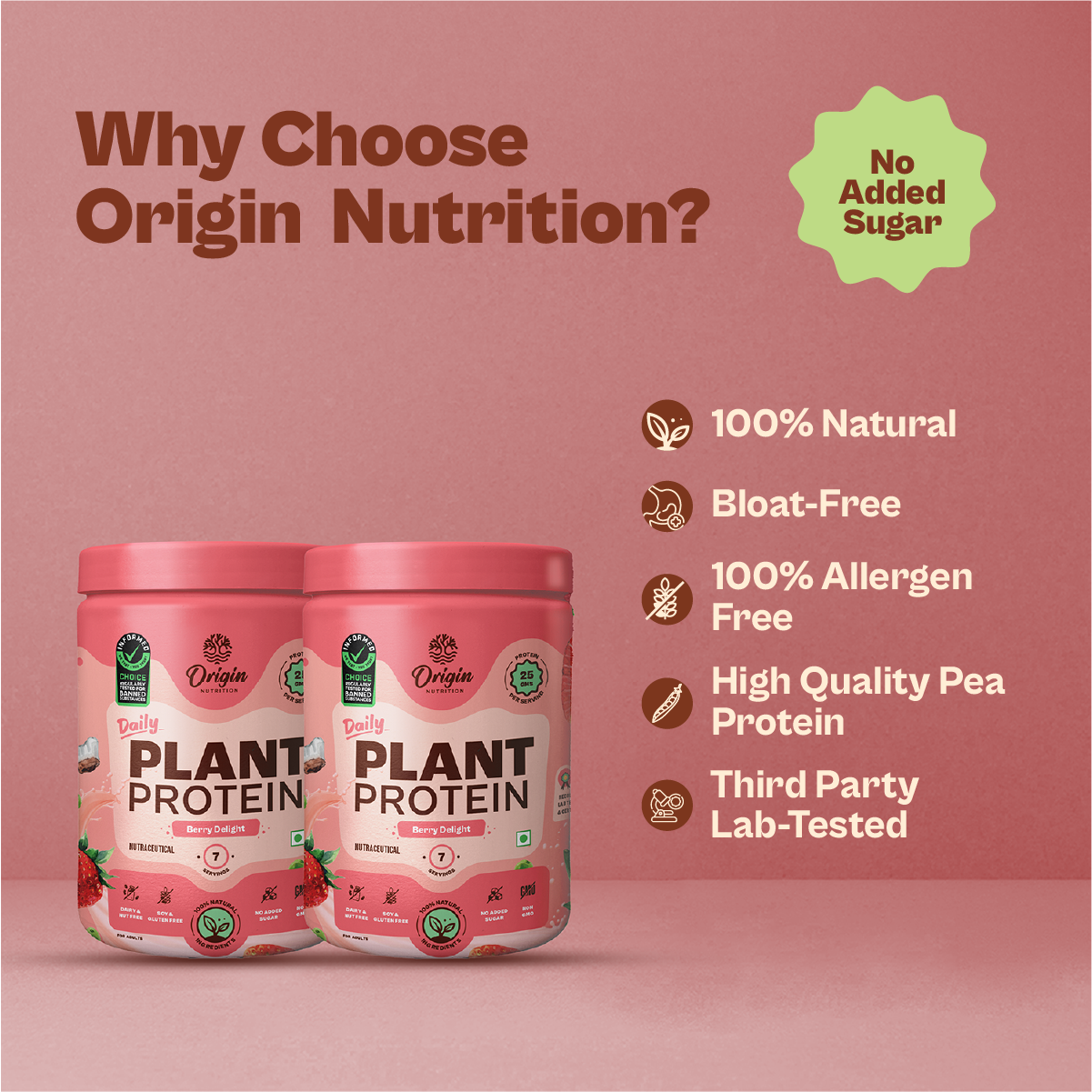 Daily Plant Protein - 14 Day Strawberry Delight Combo