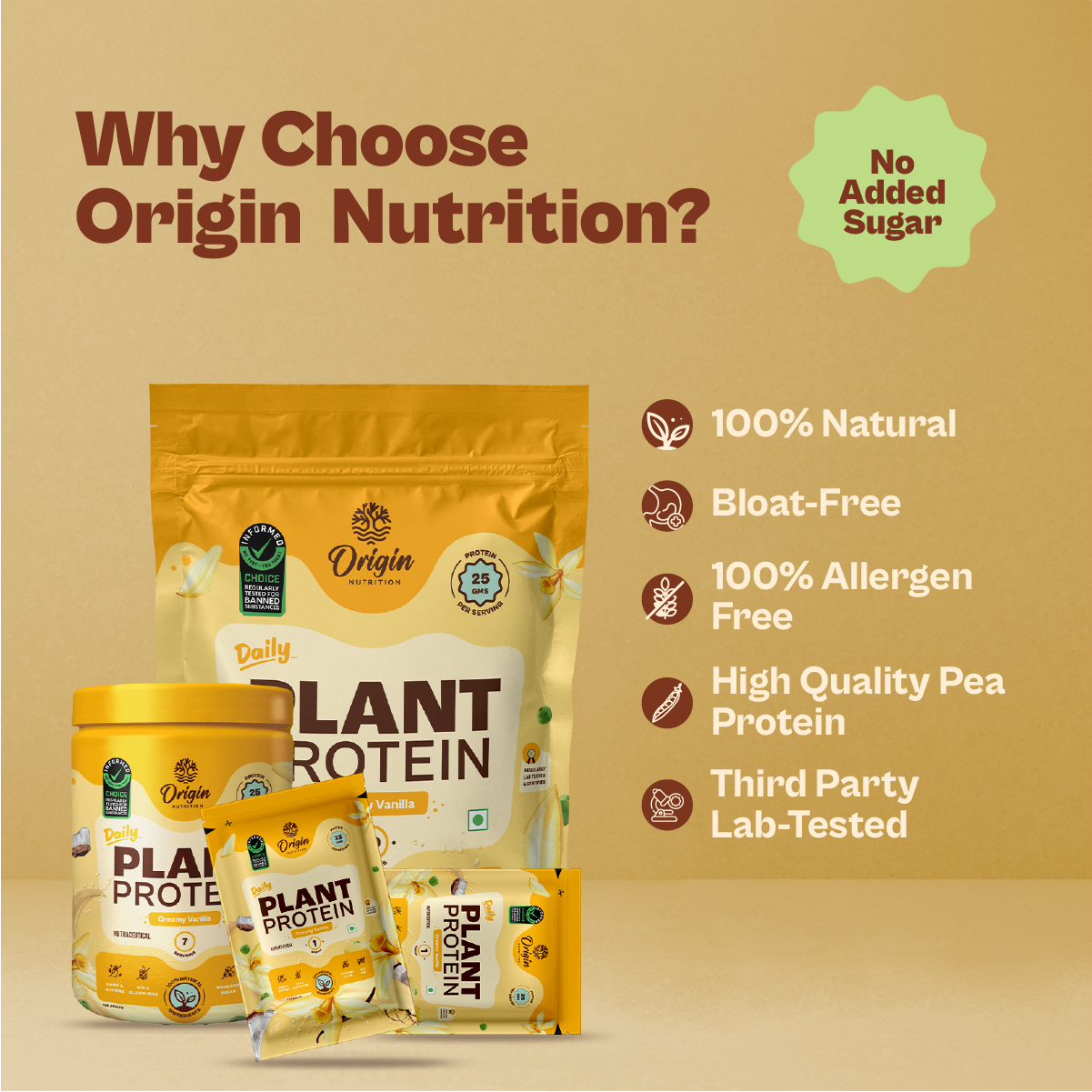 Daily Plant Protein - 31 Day Creamy Vanilla Combo