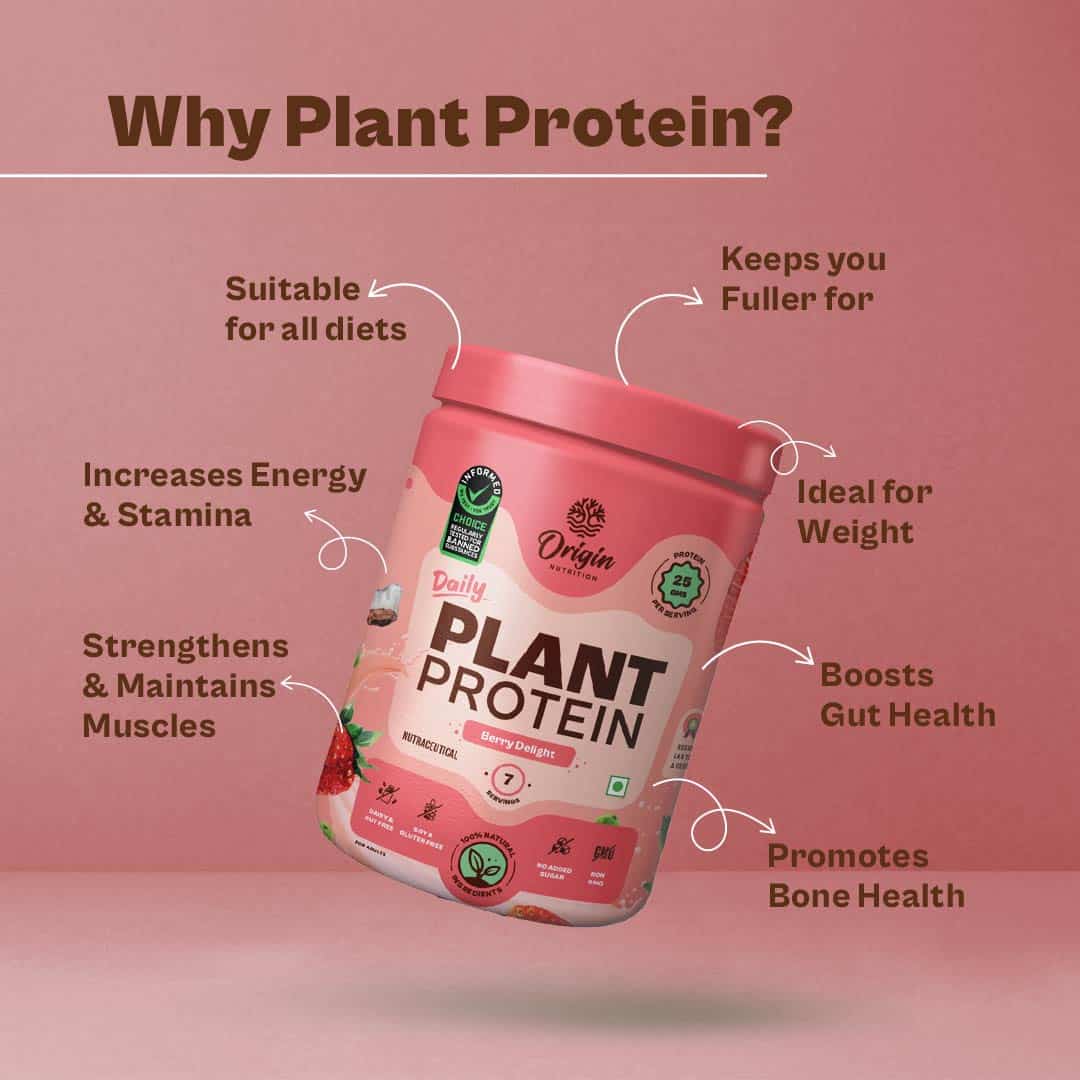 Daily Plant Protein  - Berry Delight (Jar)