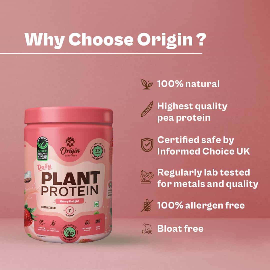 Daily Plant Protein  - Berry Delight (Jar)