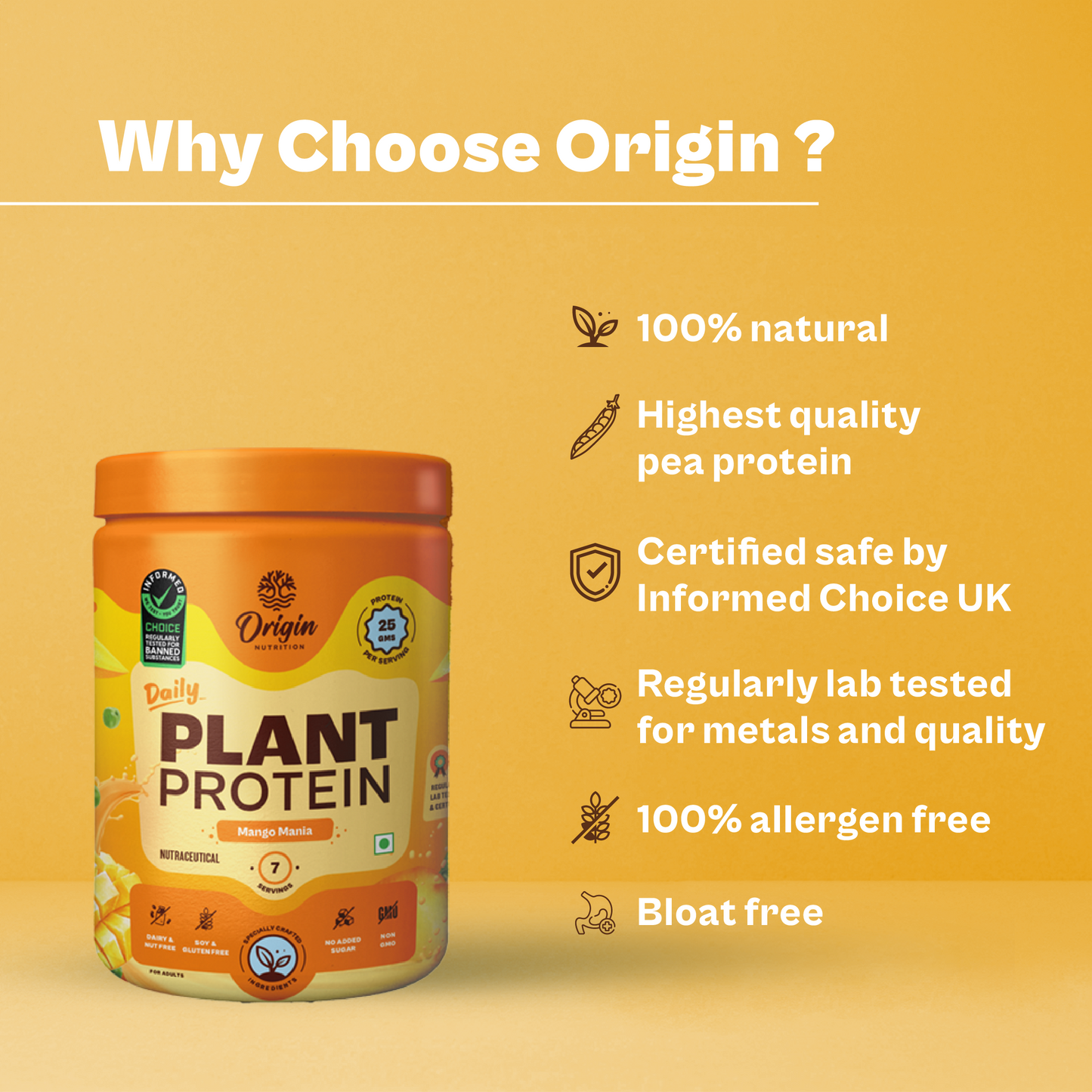 Daily Plant Protein Powder - Mango Mania (Jar)