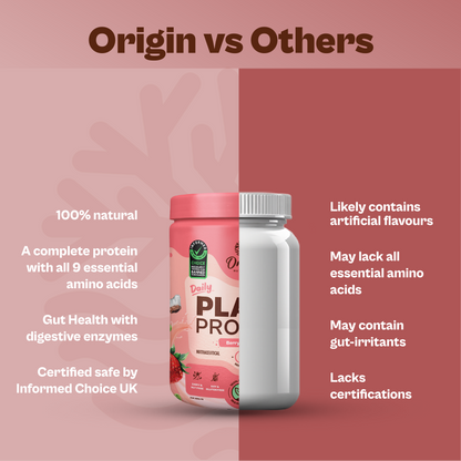 Daily Plant Protein  - Strawberry Delight (Jar)