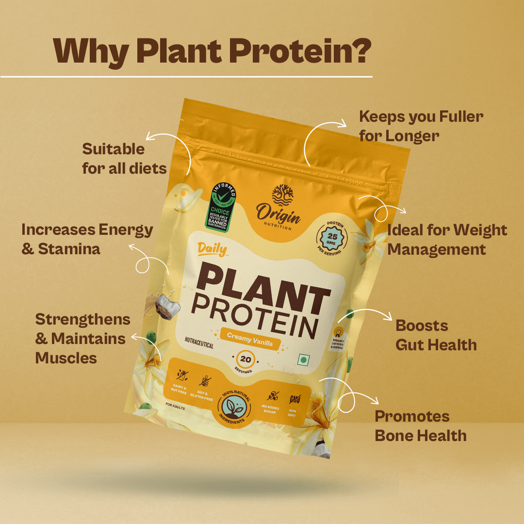 Daily Plant Protein - Creamy Vanilla